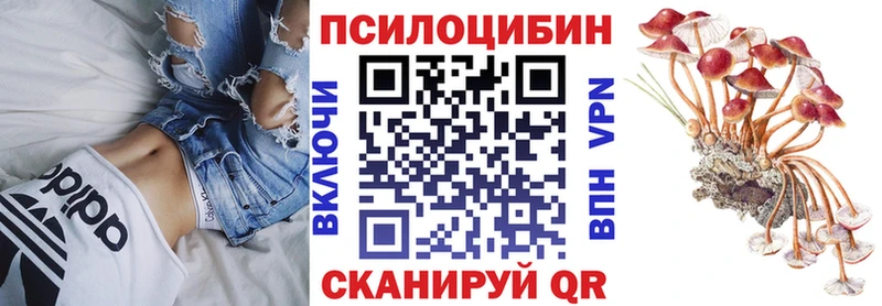 ОМГ ОМГ ССЫЛКА  Кочубеевское  Псилоцибиновые грибы ЛСД 